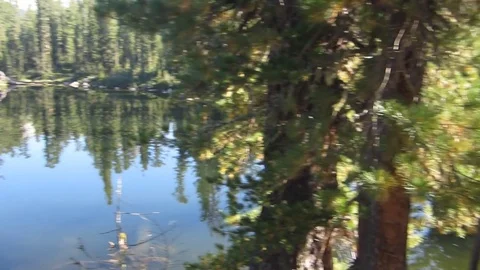 Lake of the woods Stock Footage 81138104
