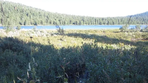 Lake of the woods Stock Footage 81138271