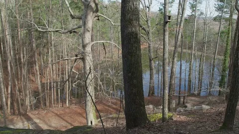 Lake in the woods Stock Footage 126000660