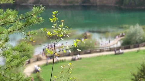 Lake in the woods Stock Footage 255953205