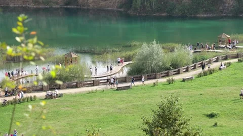 Lake in the woods Stock Footage 255956593