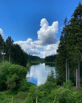 Lake in the woods Stock Photos