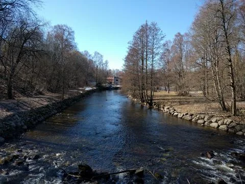 Lake in the woods in the spring Stock Photos