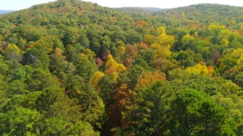Lake Yahou McClellan Fall Colors Stock Footage 289627321