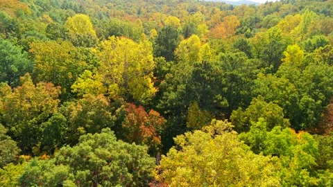 Lake Yahou McClellan Fall Colors Stock Footage 289627323