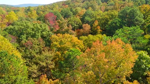 Lake Yahou McClellan Fall Colors Video stock 289627330