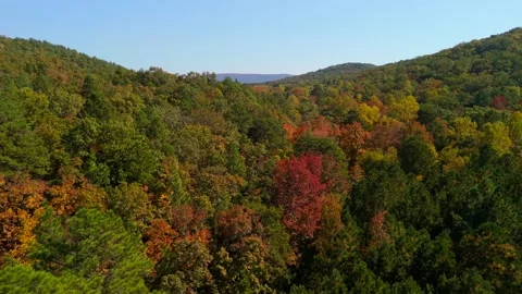 Lake Yahou McClellan Fall Colors Stock Footage 289627333
