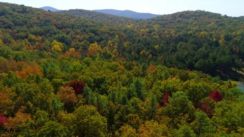 Lake Yahou McClellan Fall Colors Stock Footage 289627340