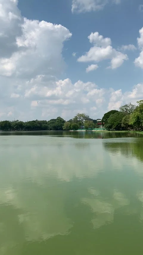 Lake in Yangon Stock Footage 343882239