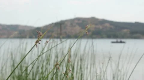 Lake of youth Stock Footage 11892840