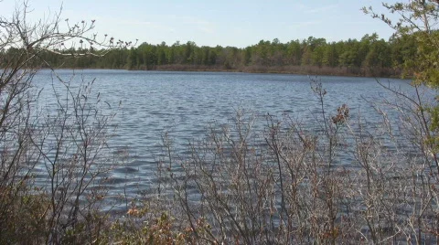 Lake1 動画素材 603934