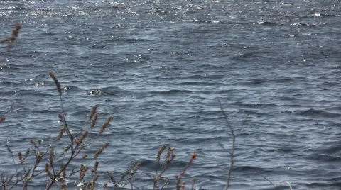 Lake10 動画素材 603774