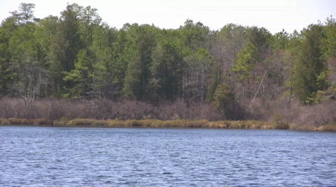 LAKE2 動画素材 603922