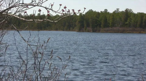 Lake4 動画素材 603906