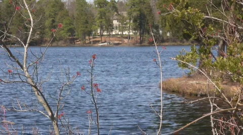 Lake5 動画素材 603894