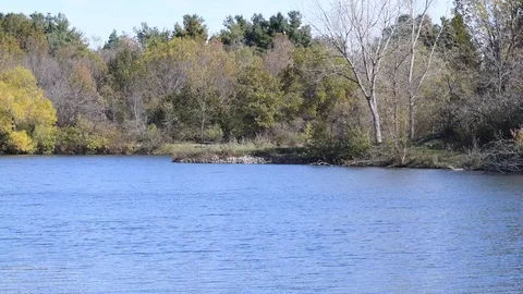 Lake5 Stock Footage 124673505