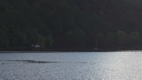 Lake58 Stock Footage 87195922