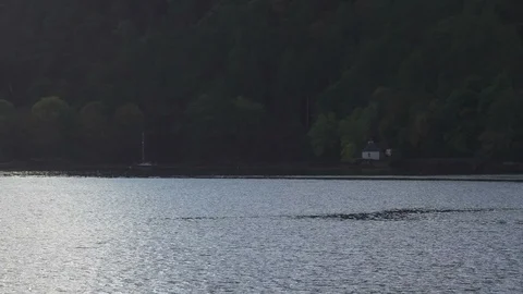 Lake59 Stock Footage 87195940