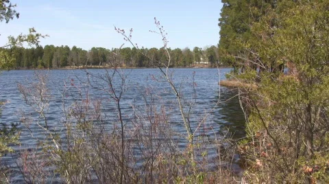 Lake6a 動画素材 603880