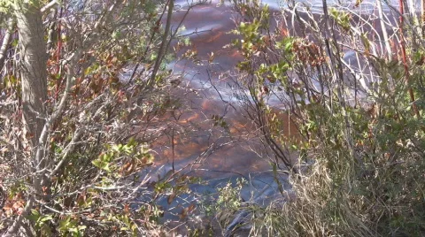 Lake7 動画素材 603860