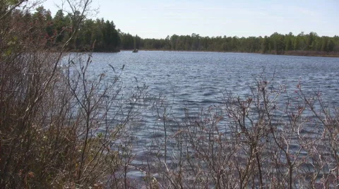 Lake8 動画素材 603831