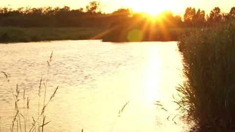 Lake8 Stock Footage 134007446