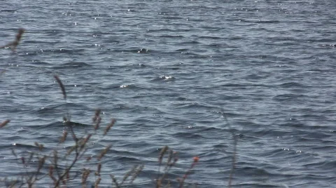 Lake9 動画素材 603801