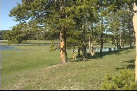Lake_ Yellowstone Stock Footage 543072