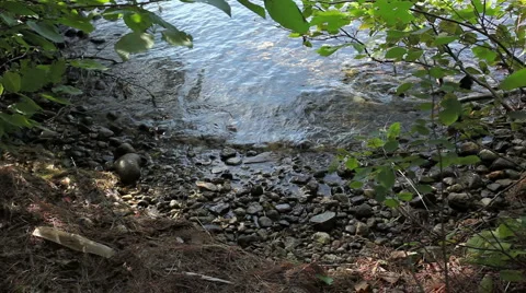 Lake_1 Stock Footage 957043