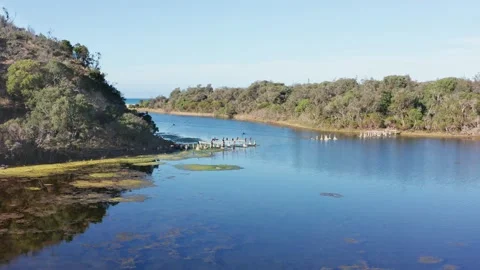 LakeBunga25fps4K 動画素材 137988841