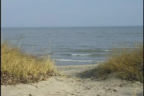 Lakefront Beach 1 Stock Footage 297807