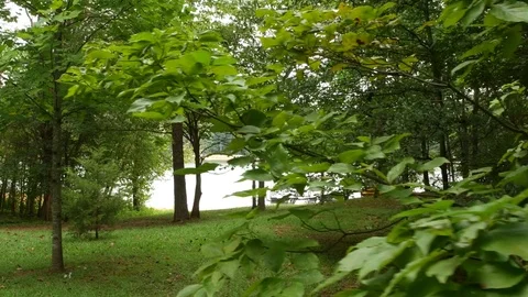 Lakefront Video stock 84117086