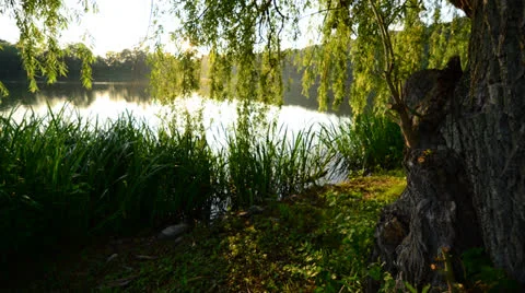 Lakefront at Sunset 4K Timelapse Stock Footage 22958437