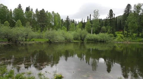 Lakefront Teletskoe 스톡 동영상 50883769