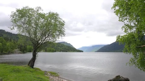 Lakefront Teletskoe Stock Footage 50883986