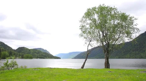 Lakefront Teletskoe Stock Footage 50884129