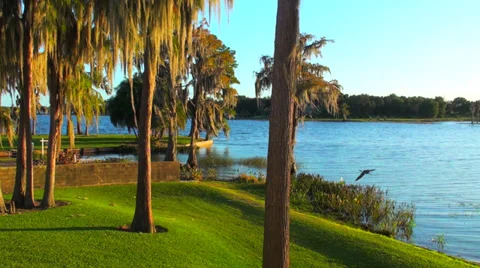 Lakefront View Stock Footage 28834962