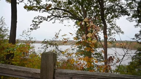 LakeHD02 Stock Footage 168329396