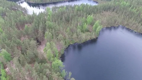 Lakes and forest Stock Footage 76963681
