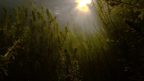 Lakes and Rivers Vidéo 134475734