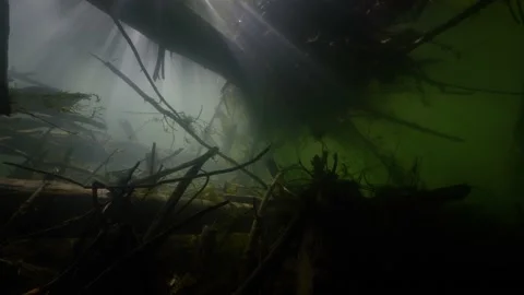 Lakes and Rivers Stock Footage 134476169