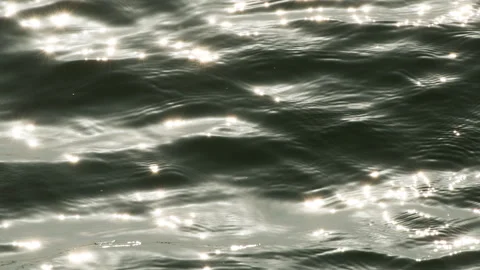 Lakes and seas 库存影片 244319118