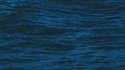 Lakes and seas Stock Footage 244398832