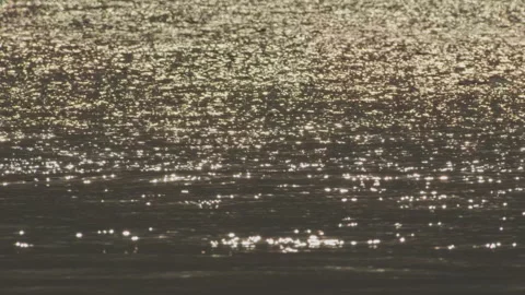 Lakes and seas Video stock 244400086