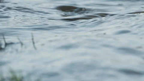 Lakes and seas Video stock 244400282