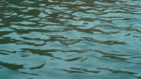 Lakes and seas Video stock 244400376