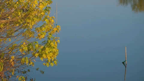 Lakes and seas Video stock 244400423