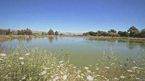 Lakes Stock Footage 146063891