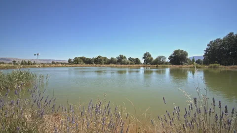 Lakes Stock Footage 146065478