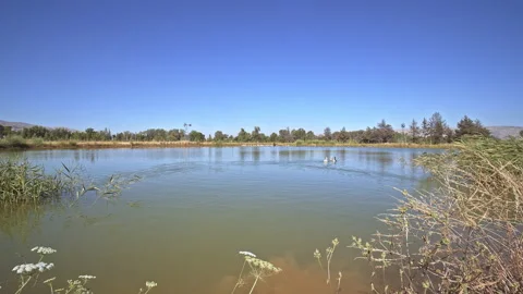 Lakes Stock Footage 146070504